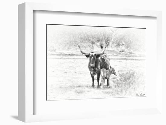 Longhorn & Baby-David Drost-Framed Photographic Print