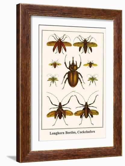 Longhorn Beetles, Cockchafers-Albertus Seba-Framed Art Print