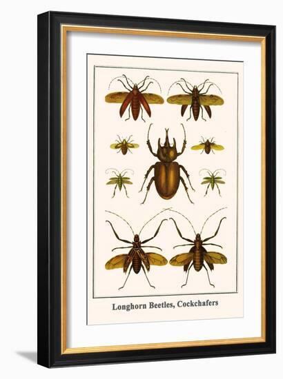 Longhorn Beetles, Cockchafers-Albertus Seba-Framed Art Print