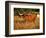 Longhorn Bull Wildlife, Oklahoma, USA-David Barnes-Framed Photographic Print