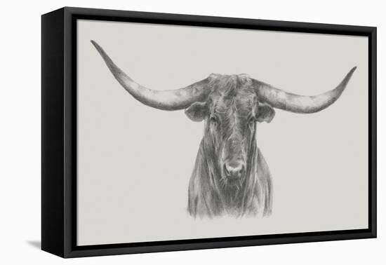 Longhorn Bull-null-Framed Stretched Canvas