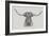 Longhorn Bull-null-Framed Art Print