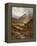 Longhorn Cattle in a Mountainous Landscape, 1892-Alfred Augustus Glendening-Framed Premier Image Canvas