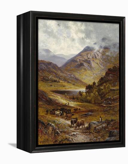 Longhorn Cattle in a Mountainous Landscape, 1892-Alfred Augustus Glendening-Framed Premier Image Canvas