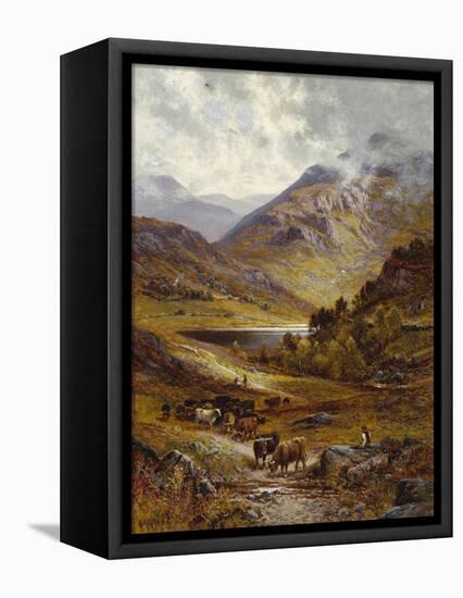 Longhorn Cattle in a Mountainous Landscape, 1892-Alfred Augustus Glendening-Framed Premier Image Canvas