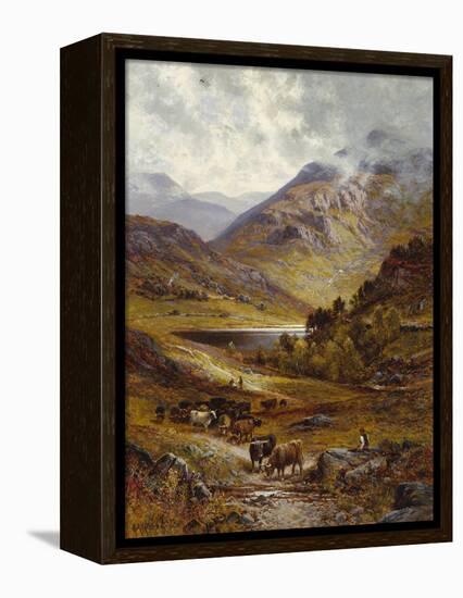 Longhorn Cattle in a Mountainous Landscape, 1892-Alfred Augustus Glendening-Framed Premier Image Canvas