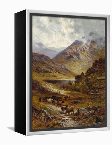 Longhorn Cattle in a Mountainous Landscape, 1892-Alfred Augustus Glendening-Framed Premier Image Canvas