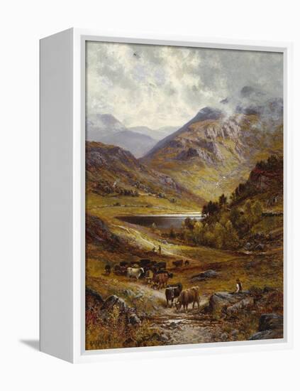 Longhorn Cattle in a Mountainous Landscape, 1892-Alfred Augustus Glendening-Framed Premier Image Canvas