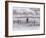 Longhorn Steer, CO-Chris Rogers-Framed Photographic Print