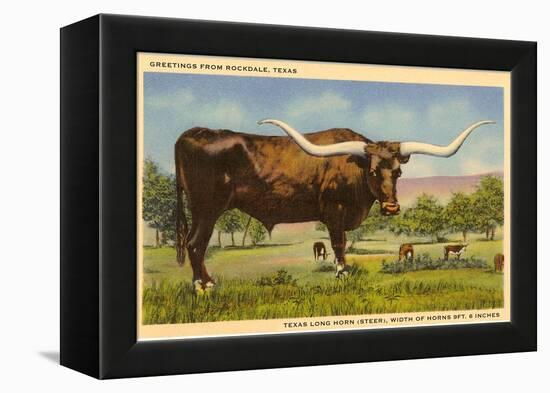 Longhorn Steer, Rockdale, Texas-null-Framed Stretched Canvas