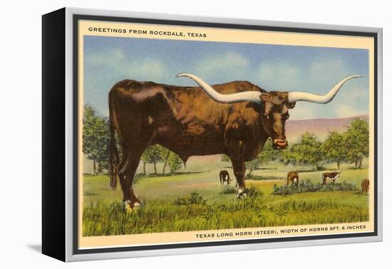 Longhorn Steer, Rockdale, Texas-null-Framed Stretched Canvas