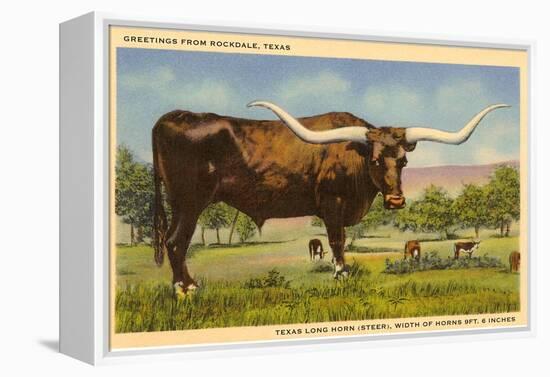 Longhorn Steer, Rockdale, Texas-null-Framed Stretched Canvas