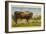 Longhorn Steer, Rockdale, Texas-null-Framed Art Print