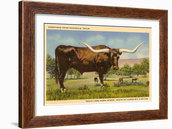 Longhorn Steer, Rockdale, Texas-null-Framed Art Print