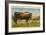 Longhorn Steer, Rockdale, Texas-null-Framed Art Print