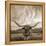 Longhorn-THE Studio-Framed Premier Image Canvas