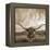 Longhorn-THE Studio-Framed Premier Image Canvas