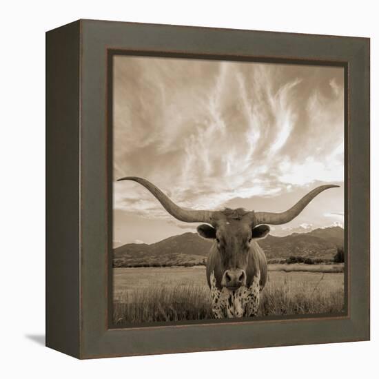 Longhorn-THE Studio-Framed Premier Image Canvas