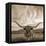 Longhorn-THE Studio-Framed Premier Image Canvas