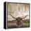 Longhorn-THE Studio-Framed Premier Image Canvas