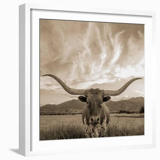 Longhorn-THE Studio-Framed Giclee Print