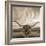 Longhorn-THE Studio-Framed Giclee Print