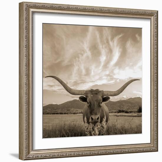 Longhorn-THE Studio-Framed Giclee Print