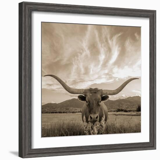 Longhorn-THE Studio-Framed Giclee Print