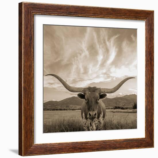 Longhorn-THE Studio-Framed Giclee Print