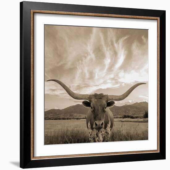 Longhorn-THE Studio-Framed Giclee Print