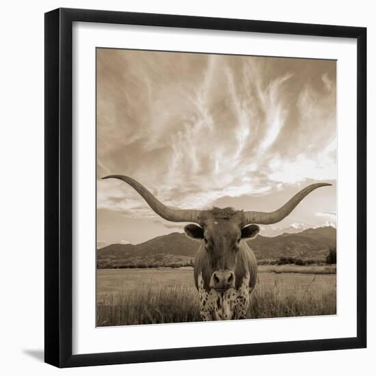 Longhorn-THE Studio-Framed Giclee Print