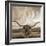 Longhorn-THE Studio-Framed Giclee Print