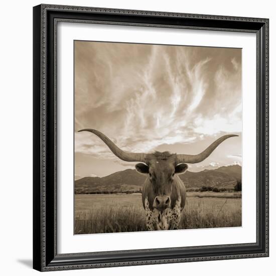 Longhorn-THE Studio-Framed Giclee Print