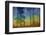 Longing for A Blue and Yellow Morning-Jacob Berghoef-Framed Photographic Print