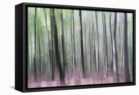 Longing for the Light-Jacob Berghoef-Framed Premier Image Canvas