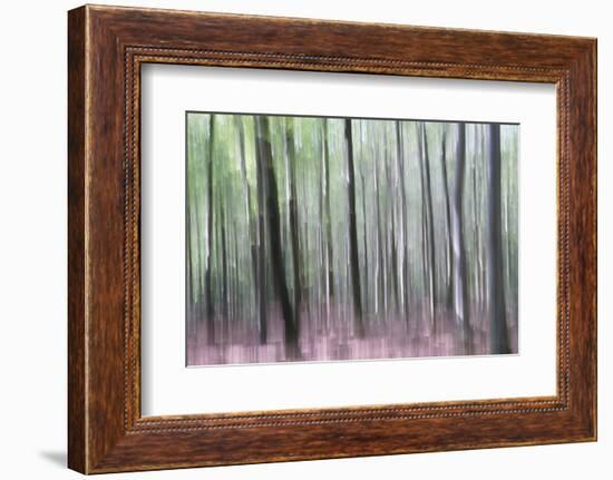 Longing for the Light-Jacob Berghoef-Framed Photographic Print