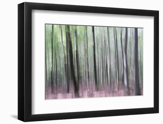 Longing for the Light-Jacob Berghoef-Framed Photographic Print