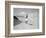 Longing For Wind 4, 2015-Jaschi Klein-Framed Photographic Print