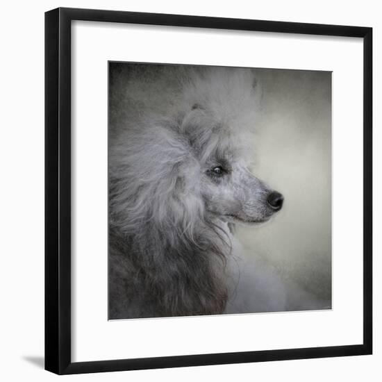 Longing Silver Standard Poodle-Jai Johnson-Framed Giclee Print