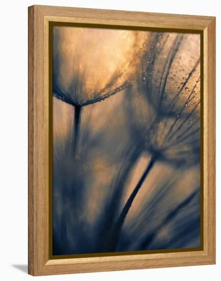 Longing-Ursula Abresch-Framed Premier Image Canvas