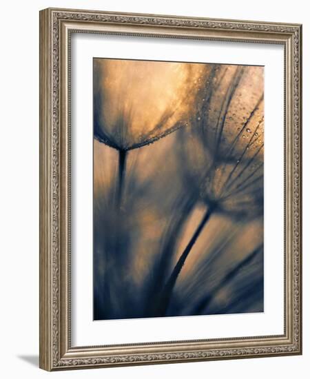 Longing-Ursula Abresch-Framed Photographic Print