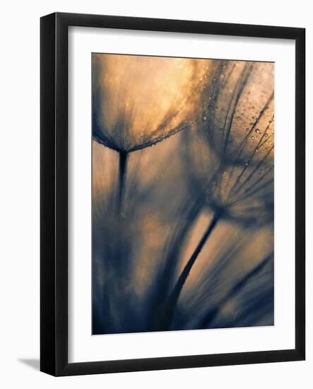 Longing-Ursula Abresch-Framed Photographic Print