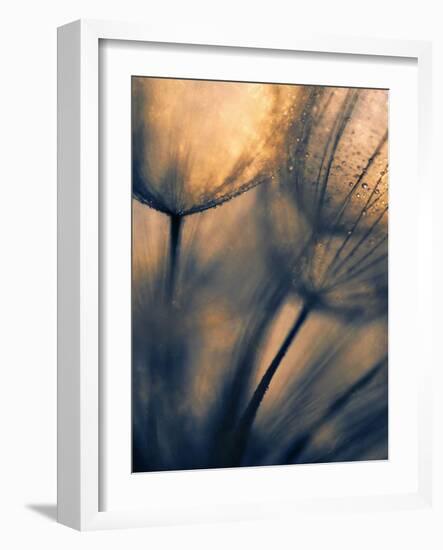 Longing-Ursula Abresch-Framed Photographic Print