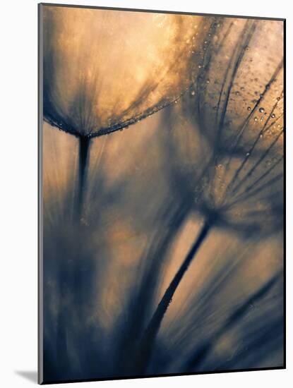 Longing-Ursula Abresch-Mounted Photographic Print