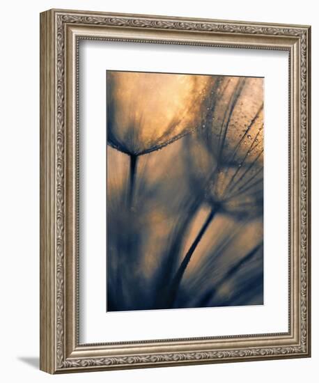 Longing-Ursula Abresch-Framed Photographic Print