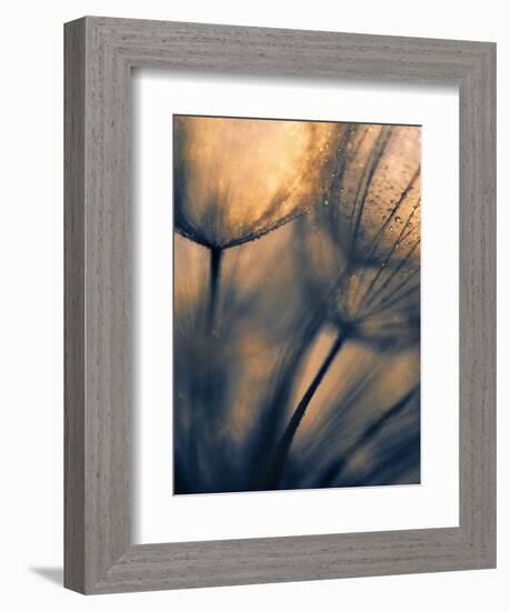 Longing-Ursula Abresch-Framed Photographic Print