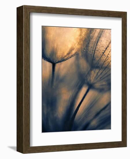 Longing-Ursula Abresch-Framed Photographic Print