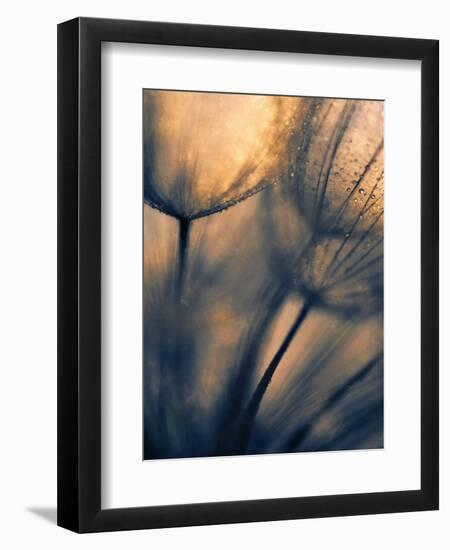 Longing-Ursula Abresch-Framed Photographic Print