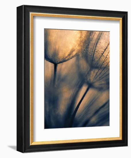 Longing-Ursula Abresch-Framed Photographic Print