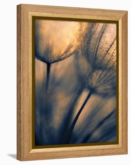 Longing-Ursula Abresch-Framed Premier Image Canvas